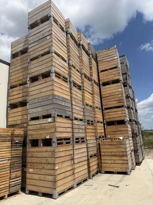 Boxpaleti 100x120