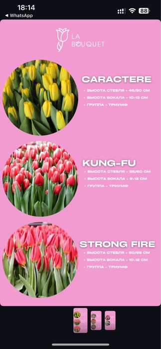 Тюльпаны на 8 марта