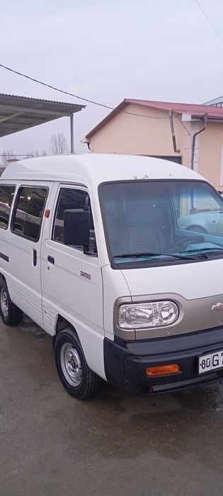 Damas 2009 peshku tumanida