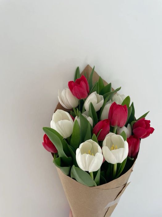 продам 5 тюльпанов,за дешевую цену