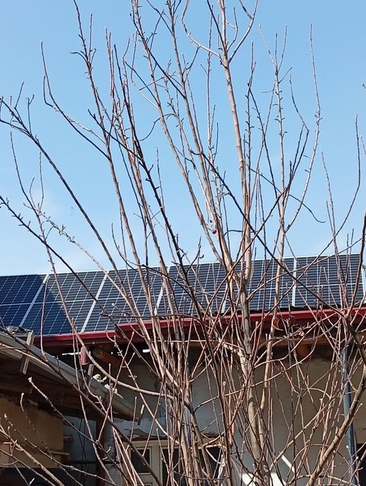 Солнечные панели
