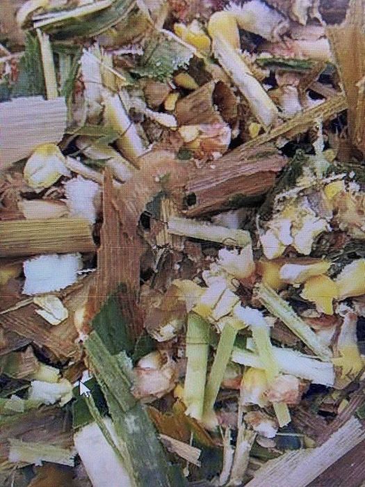 Силос кормовой. Корм для животных