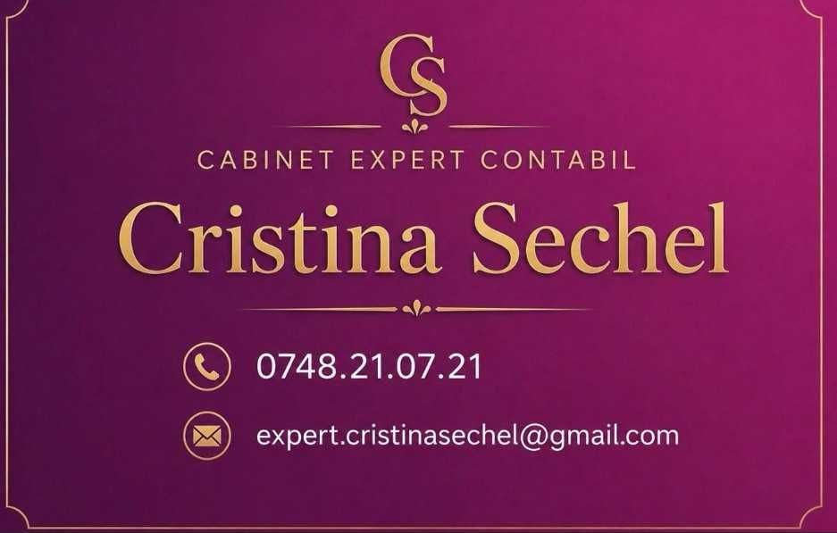 Servicii de contabilitate PFA & SRL (Arad)