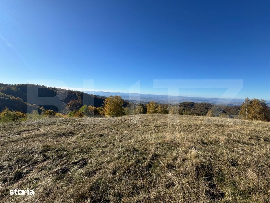 Teren extravilan 54.722 mp in Tarsa