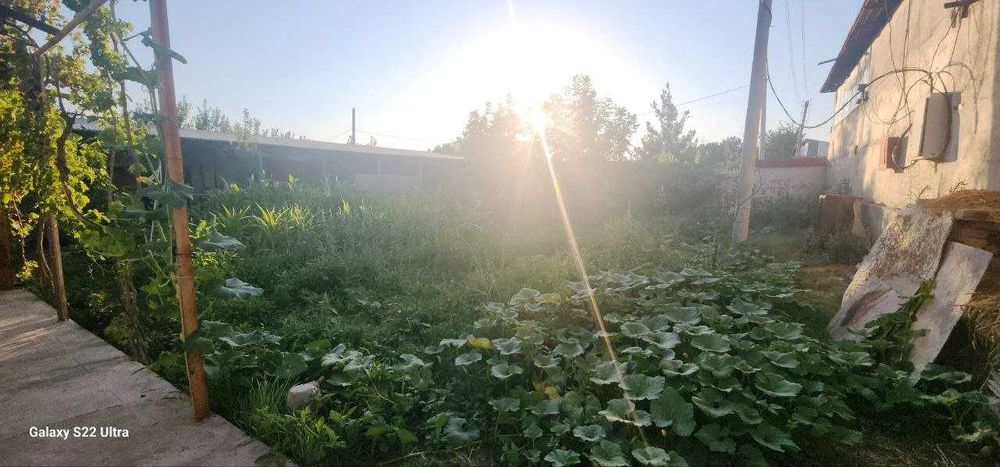 Тахта бозор томонга 10 сотыхли ховли жой йул еккасида жойлашган