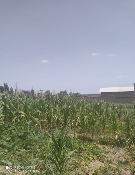 Nazarbek tekistilda yer sotiladi