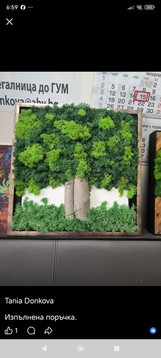 Декорации с жив Скандинавски мъх и