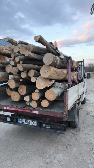 Lemn de foc, fag, stejar