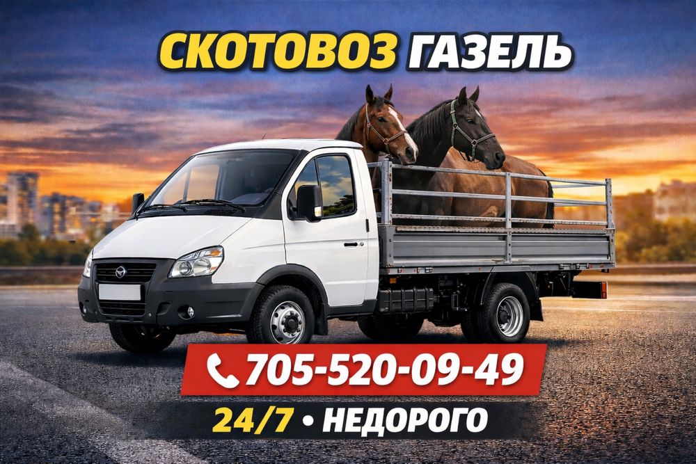 Скотовоз газель недорого