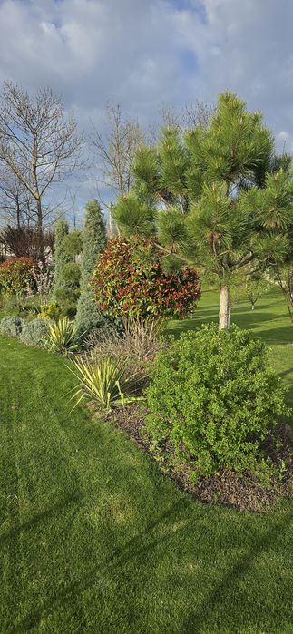 Tuns iarba/gazon, Intretinere spatii verzi, Sistem de irigatii