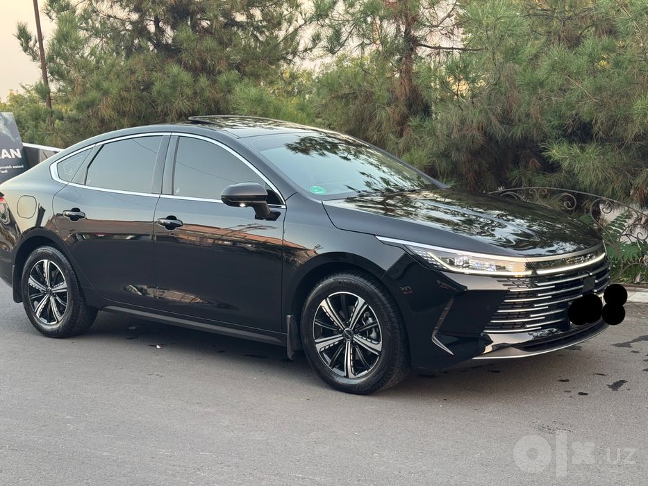 Byd chazor 2025 год