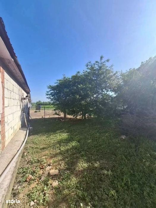 De vanzare casa in comuna Horia,suprafata teren de 2156mp, 36000e