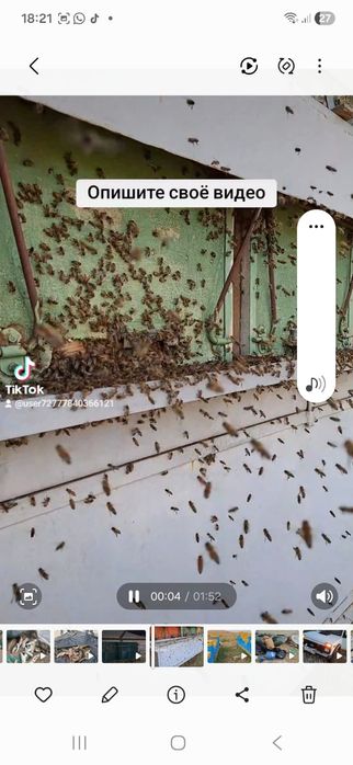 Продам пчёл рамка расплода 15 тышь