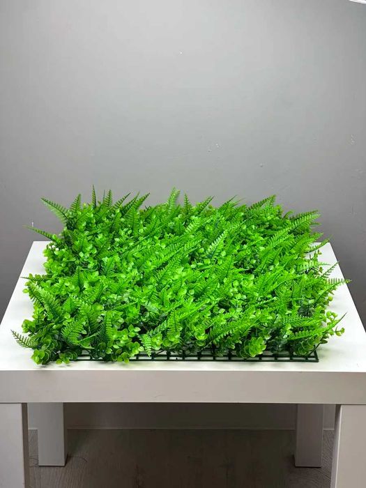 Самшитовый коврик для фитостены 60×40 см