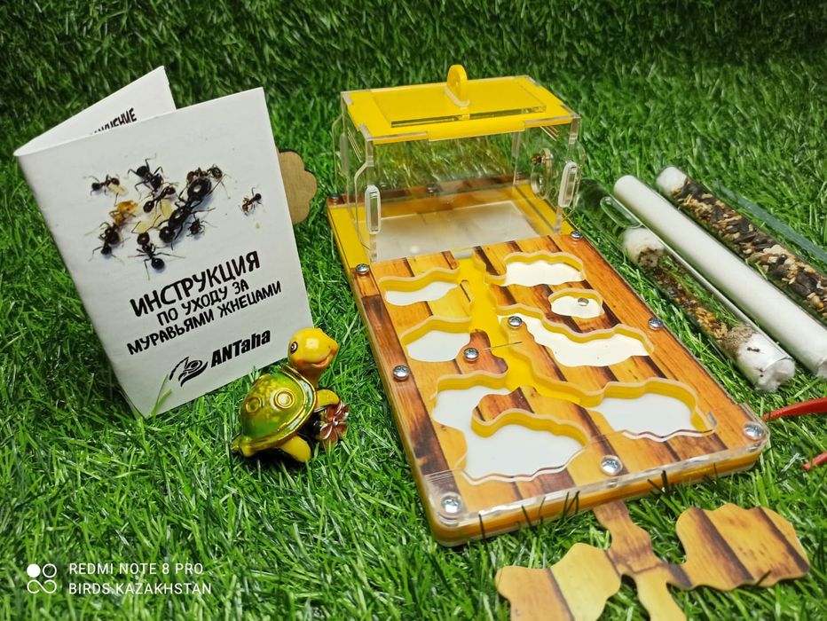 Муравьиная ферма от 5500. В наличии в городе АЛМАТЫ!