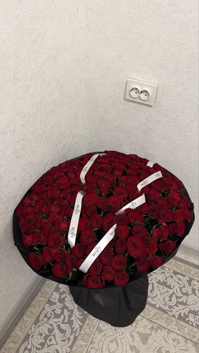 151 роза в хорошем состояние