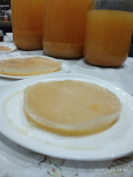 Яблочный натуральный домашний уксус. 500грамм 50тыс.