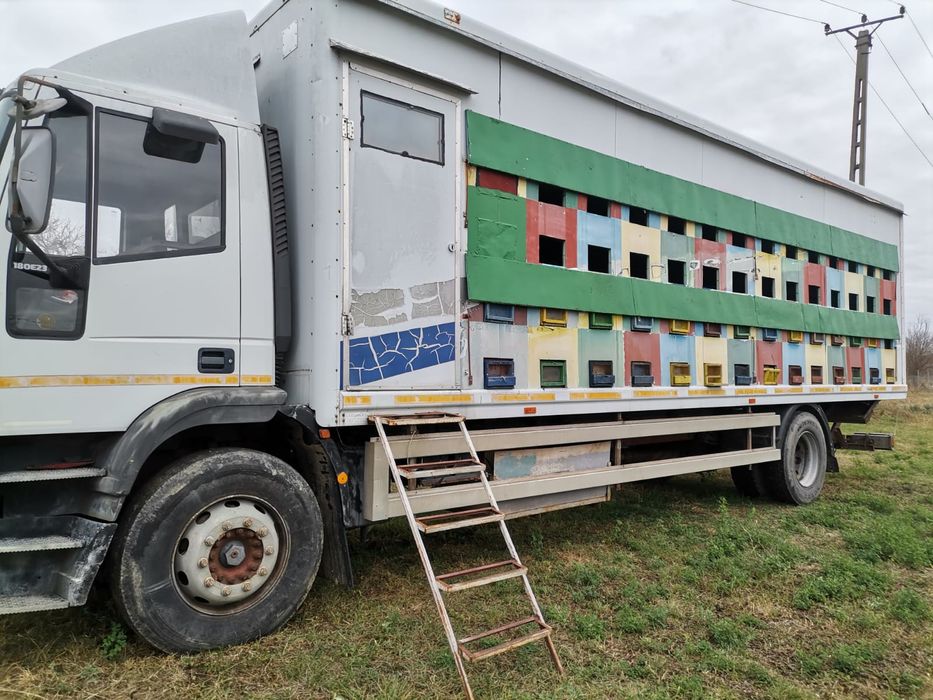 Camion iveco apicol