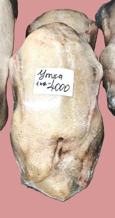 Домашние гуси, утки и куры