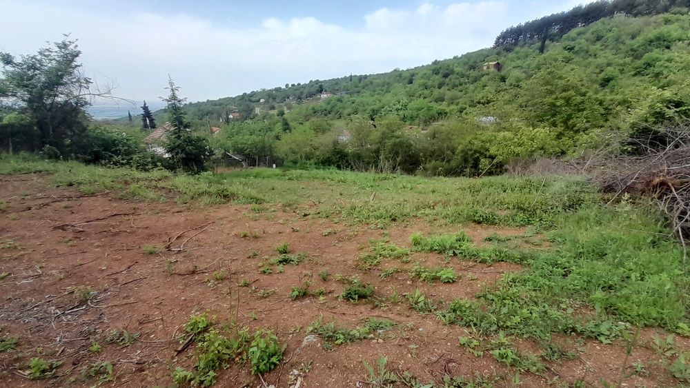 Панорамен парцел