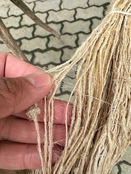 Fire de cânepă veche