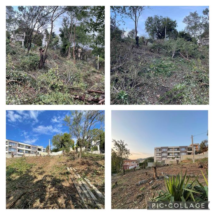 Косене  на трева, рязане на дървета,поставяне на телена ограда