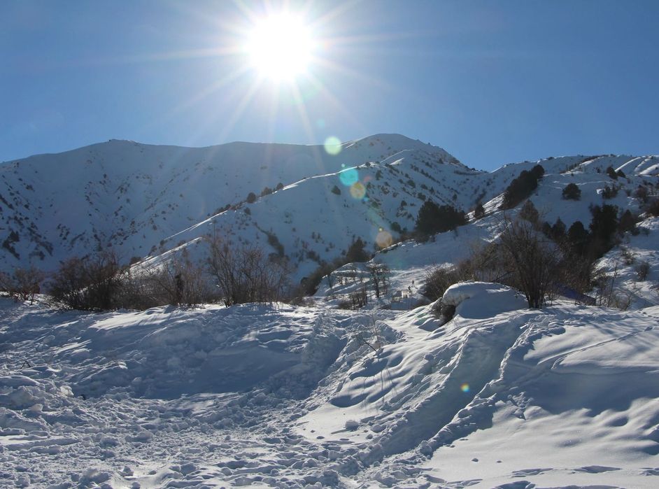 Транспортные услуги. Туры в горы Тянь-Шаня. Микроавтобус, кроссовер
