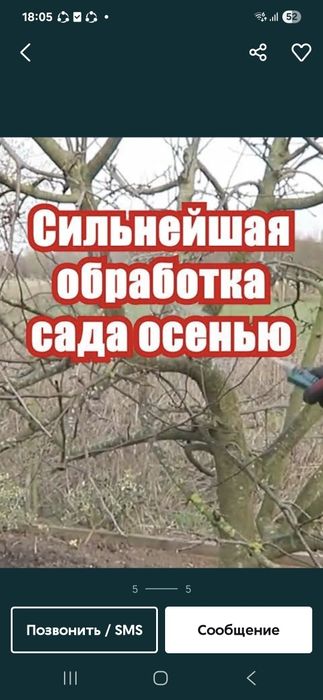 Daraxt kesamiz dorilash xizmati