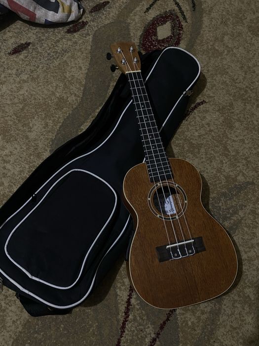 Необычный укулеле