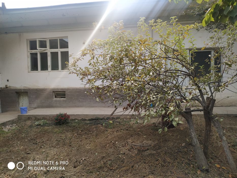 Ховли жой сотилади