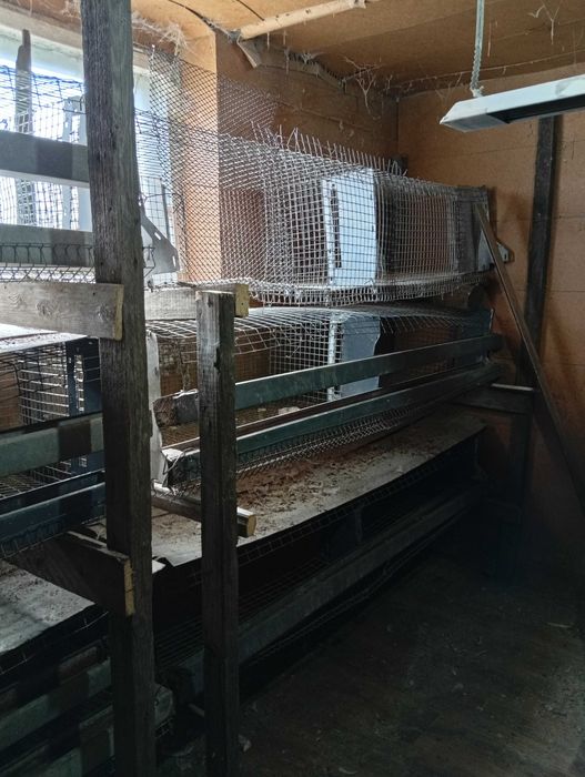 Клетки для курей