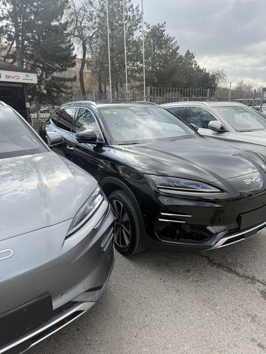 Byd Chempion smart 605