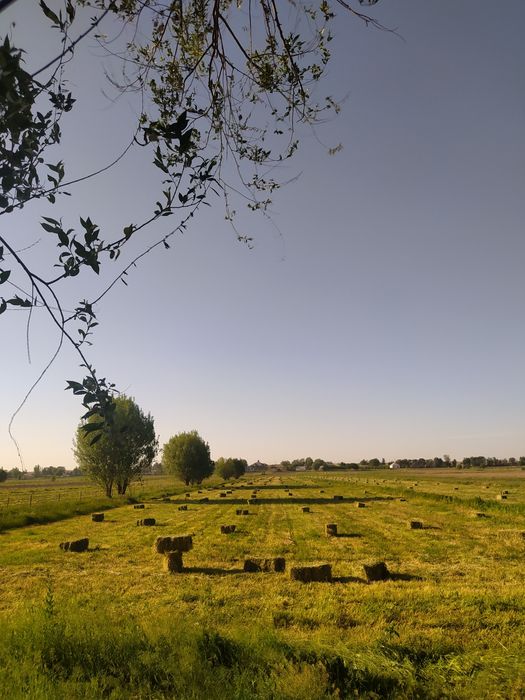 Жоңышка пресс сатылады