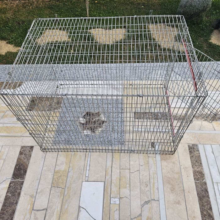 Cuscă pliabilă transport animale