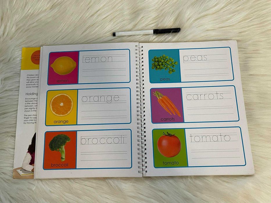 Carte Wipe and Clean first 100 words, in limba engleza