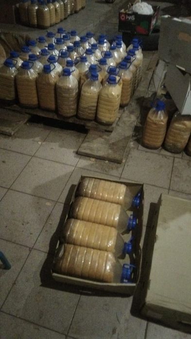 Лечебный жир Чёрной Львинки