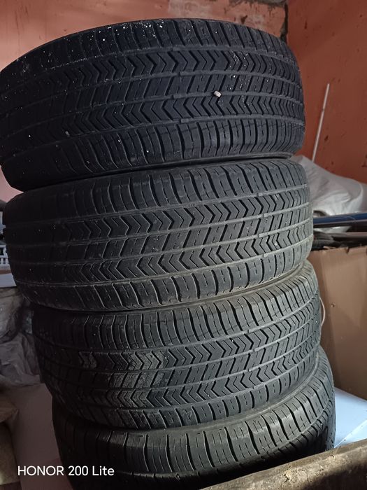 Balon sotiladi 14 razmeri