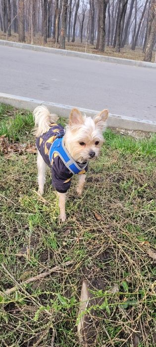 отдаём в хорошие руки