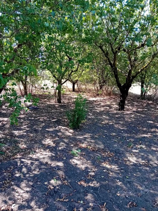 Продава се Къща в Вълчи дол - 73 кв.м за 161 €/кв.м - Снимка #3