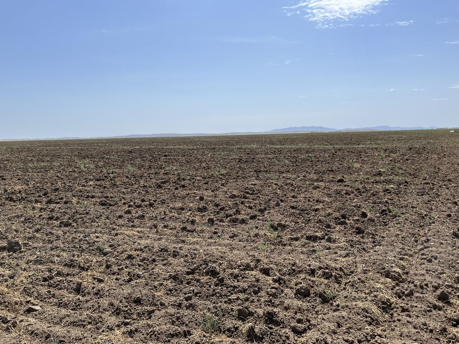 Продам пашни 500 га