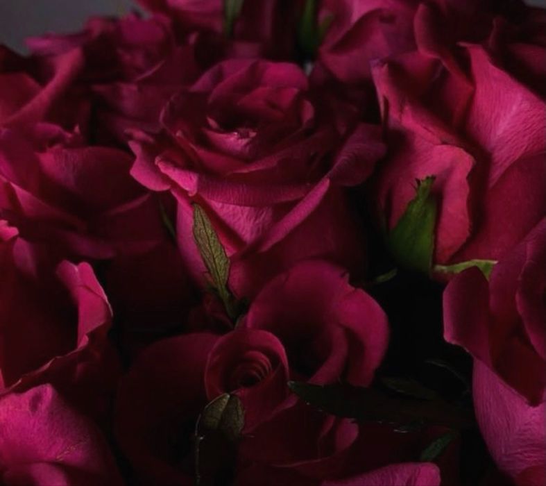 Розы по 600 тг город Атырау