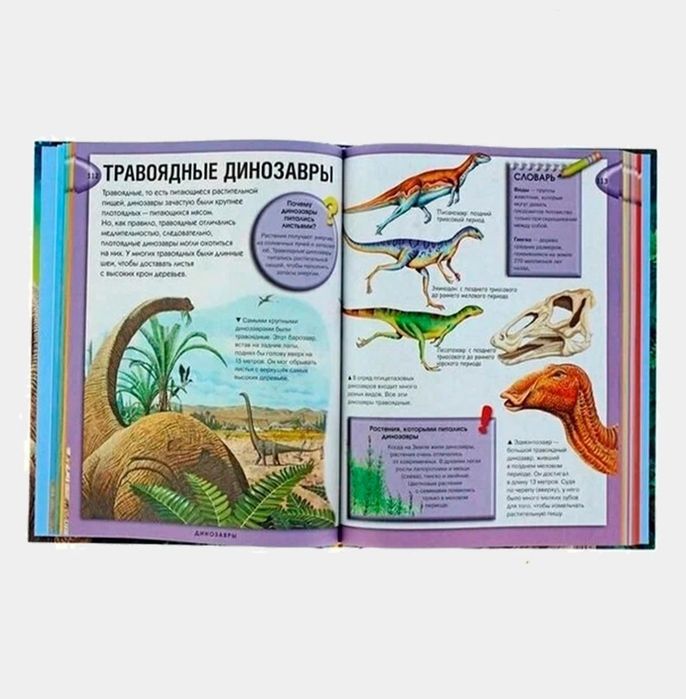 Доставка. Большая книга вопросов и ответов Что? зачем? почему?