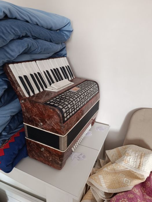 Аккордеон  ТЕЗА  оригинал