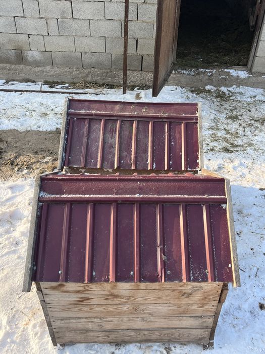 домик на собака.