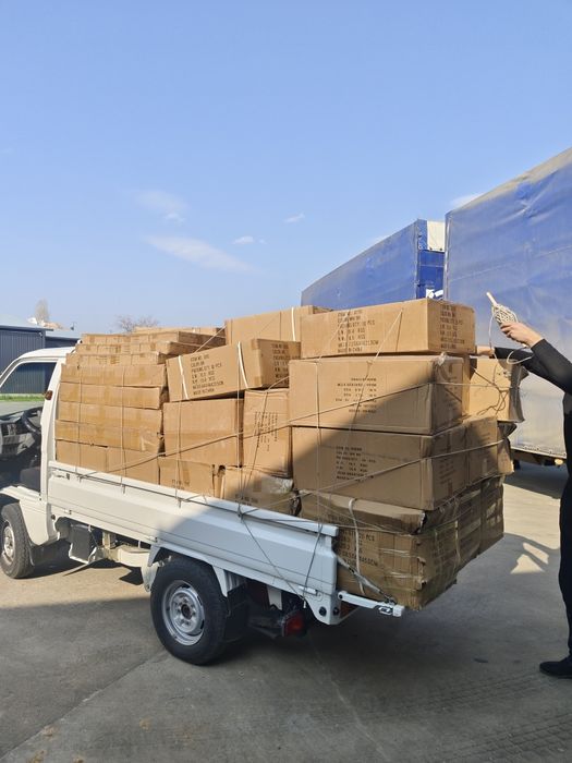 Попугай и клетки