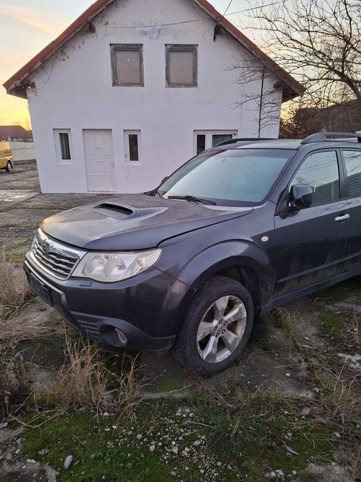 De vîzare Subaru forester