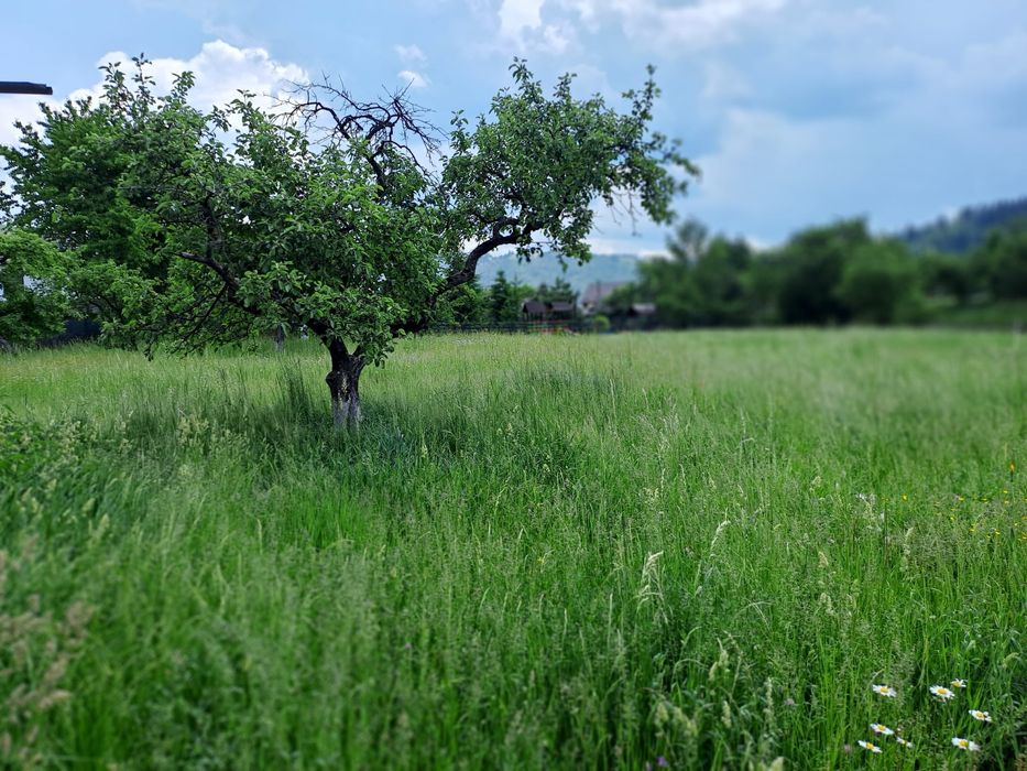 Casa de locuit plus anexe si gradina,acte la zi