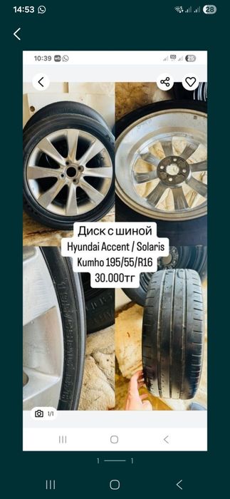 1шт титанка с шиной Accent Solaris