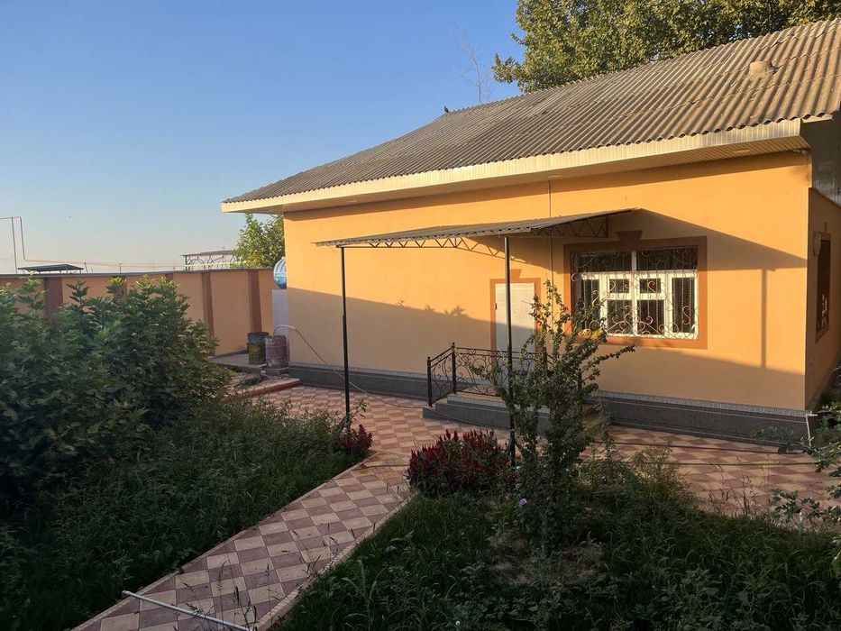 Уй Янгийул туманида