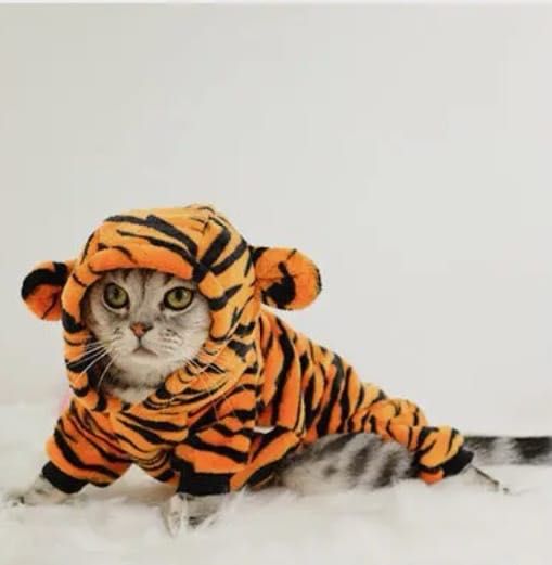 Комбинезон для собаки и кошки